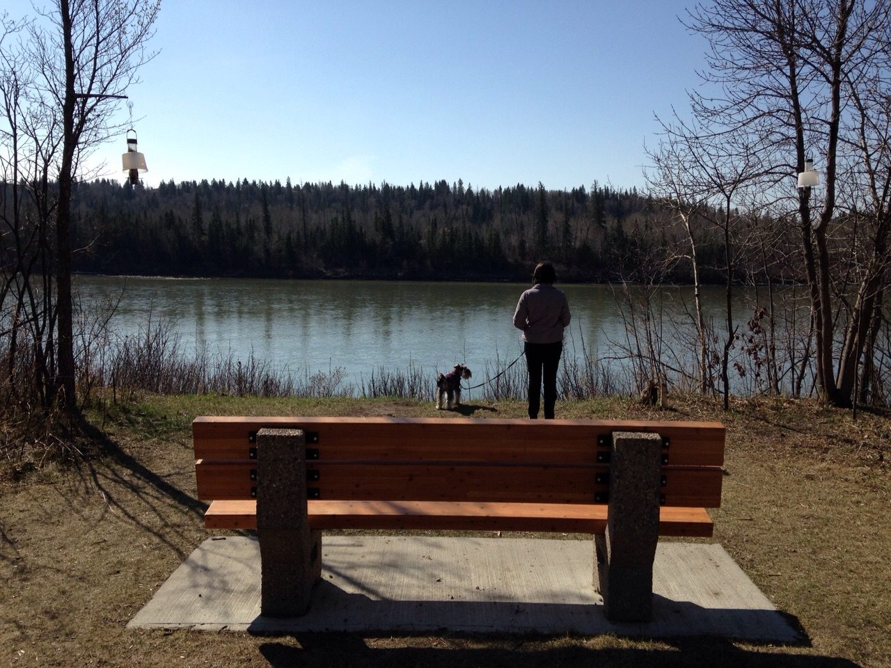 Cachorro no Canada